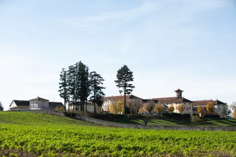 Les bâtiments depuis un champ